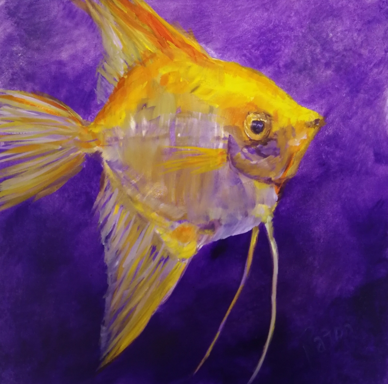 Solid Gold by artist Nancy Paton